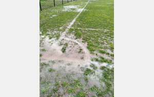 DRY JUANARY plutôt humide en Gironde