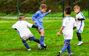 TOURNOI DES PETITS CHAMPIONS