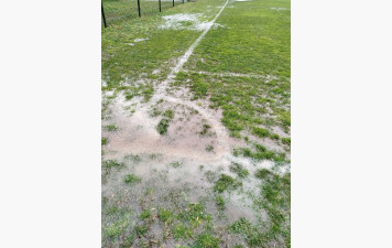 DRY JUANARY plutôt humide en Gironde